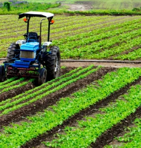 Plantação agrícola com trator