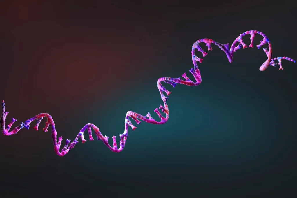 DNA
