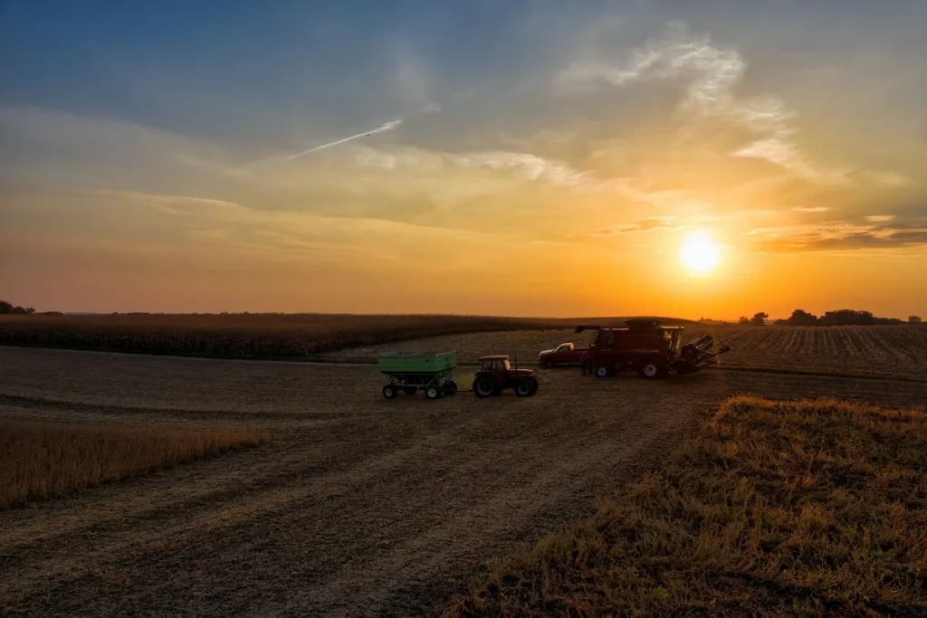 Máquinas agrícolas paradas em campo ao entardecer com sol baixo no horizonte